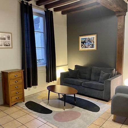 Appartement Le Coche D'Eau Auxerre Les Quais Ngoại thất bức ảnh