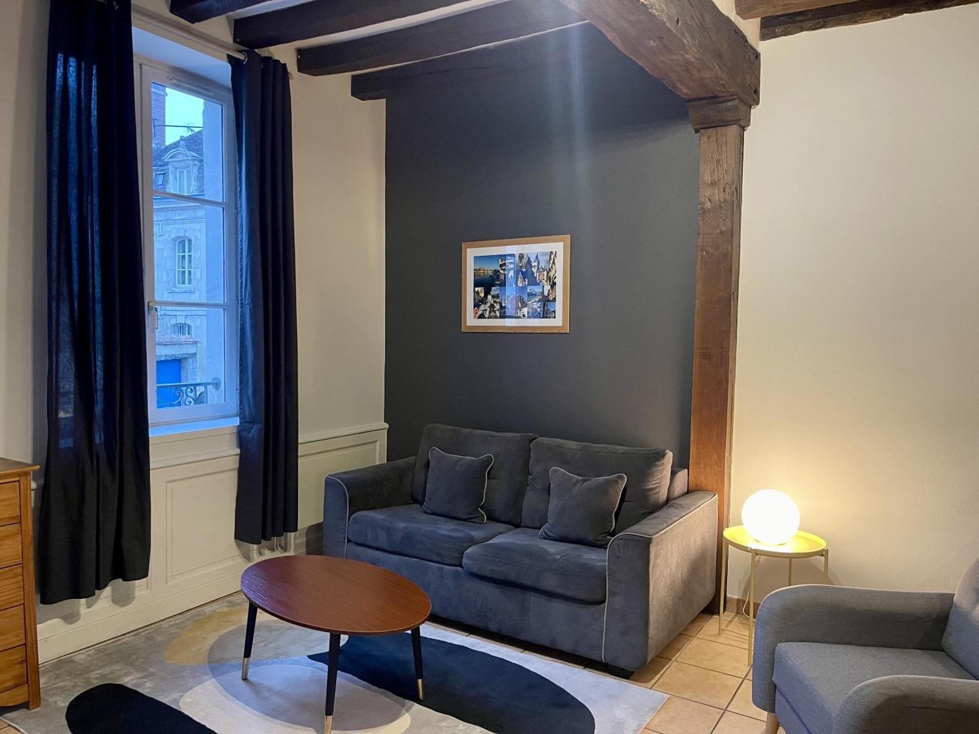 Appartement Le Coche D'Eau Auxerre Les Quais Ngoại thất bức ảnh