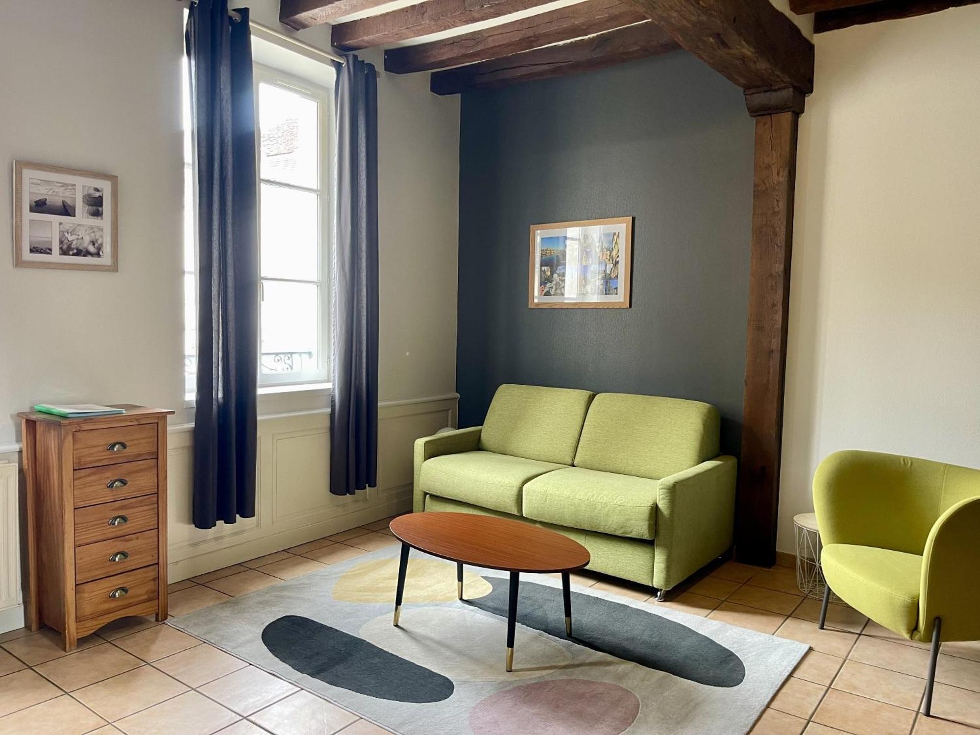 Appartement Le Coche D'Eau Auxerre Les Quais Ngoại thất bức ảnh